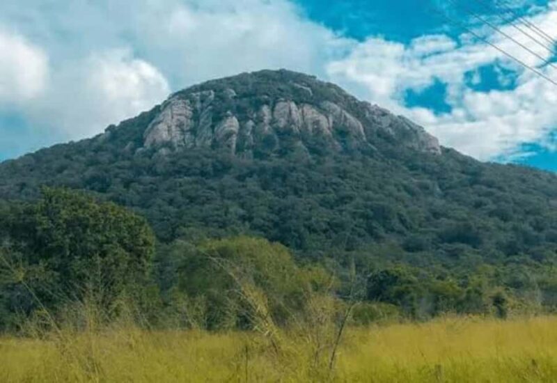 Sigiriya: Ritigala Forest Monastery & Dambulla Temple Tour - An In-Depth Look at the Tour