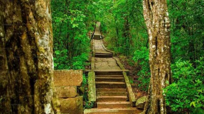 Sigiriya: Ritigala Forest Monastery & Dambulla Temple Tour - Who Should Consider This Tour?
