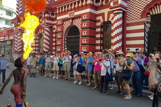 Sigiriya Rock and Dambulla Cave Temple all inclusive Private Day Trip - The Practicalities You Need to Know