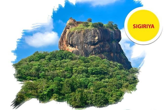 Sigiriya Rock and Dambulla Cave Temple all inclusive Private Day Trip - Who Should Book This Tour?