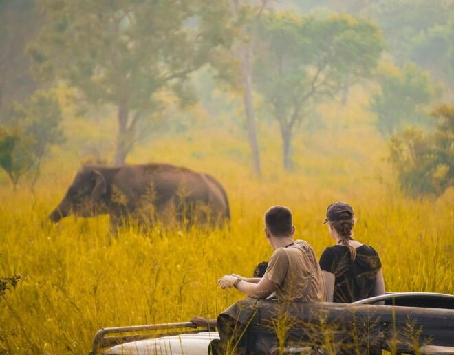 Sigiriya Rock and Minneriya Safari With Elephant Sighting - Included Features