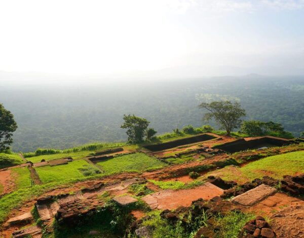 Sigiriya Rock and Minneriya Safari With Elephant Sighting - What to Bring