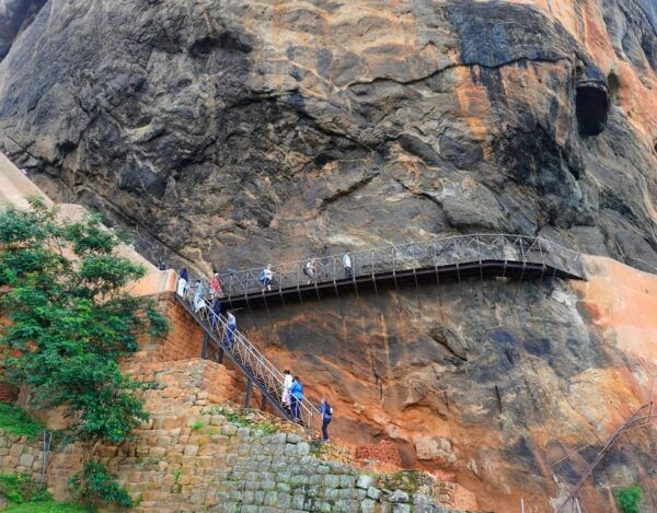 Sigiriya Rock and Minneriya Safari With Elephant Sighting - Booking Process and Policies