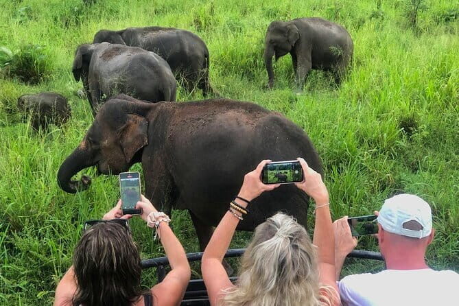 Sigiriya Rock Climb, Village Tour+Cooking Class & Elephant Safari - Review of the Sigiriya Rock Climb, Village Tour, Cooking Class & Elephant Safari  