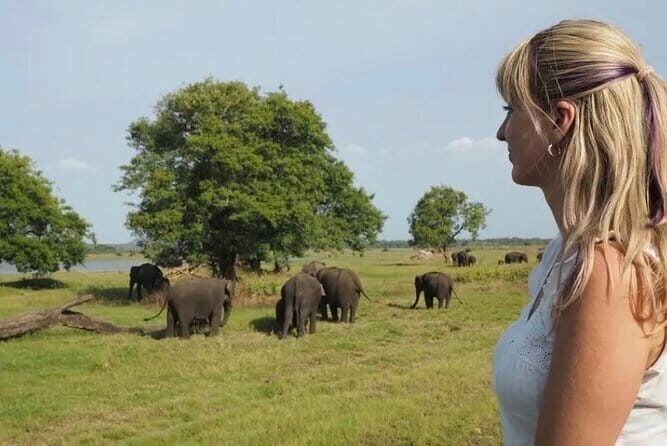 Sigiriya Rock Dambulla Cave and Village Tour From Trincomalee - The Sum Up