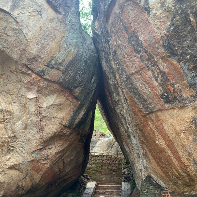 Sigiriya Rock & Dambulla Minneriya National Park Jeep Safari - Activity Details