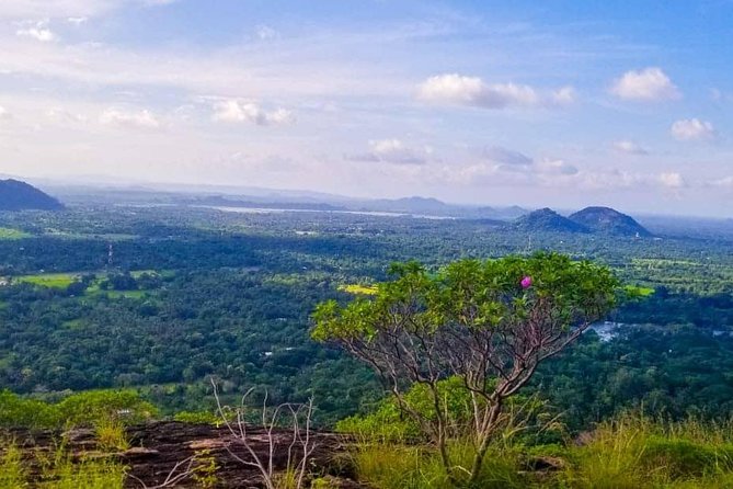 Sigiriya Rock or Pidurangala and Polonnaruwa and National Park - Tour Start Time