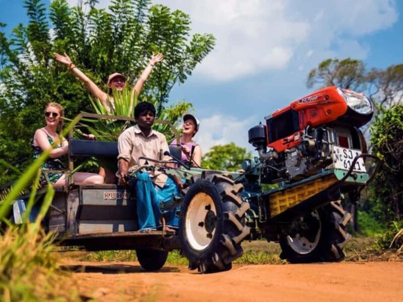 Sigiriya Rural Culture & Lake Crossing with Dimo Local Lunch - FAQs