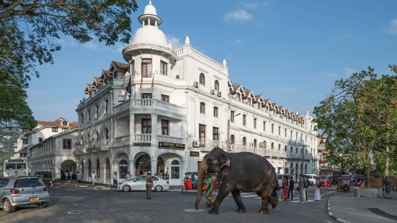 Sigiriya to Ella Scenic Train Transfer with Kandy Sightseein - FAQs