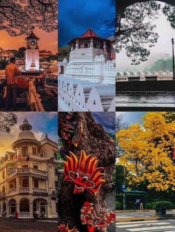 Sigiriya To Kandy Private Transfer: Visit Dambulla Temple - The Itinerary and Its Highlights