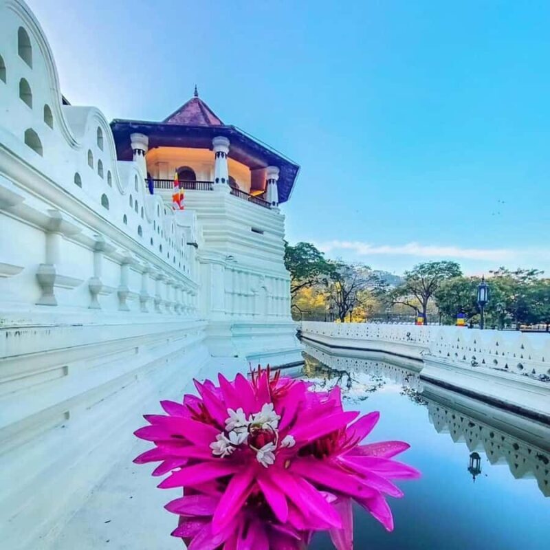 Sigiriya to Kandy Sightseeing Transfer - Good To Know