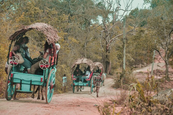 Sigiriya Village Tour - Traveler Reviews