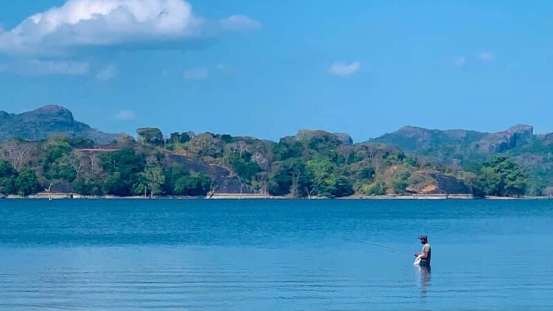 Sigiriya: Village Tour with Bullock Cart Ride & Lunch - The Experience from the Traveller’s Perspective