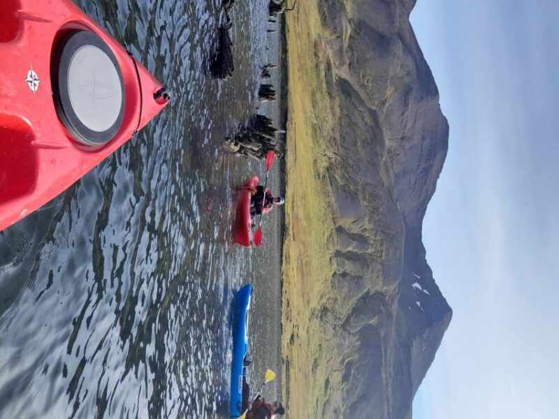 Siglufjörður / Siglufjordur: Guided kayak tour. - The Experience’s Value and Who It’s For