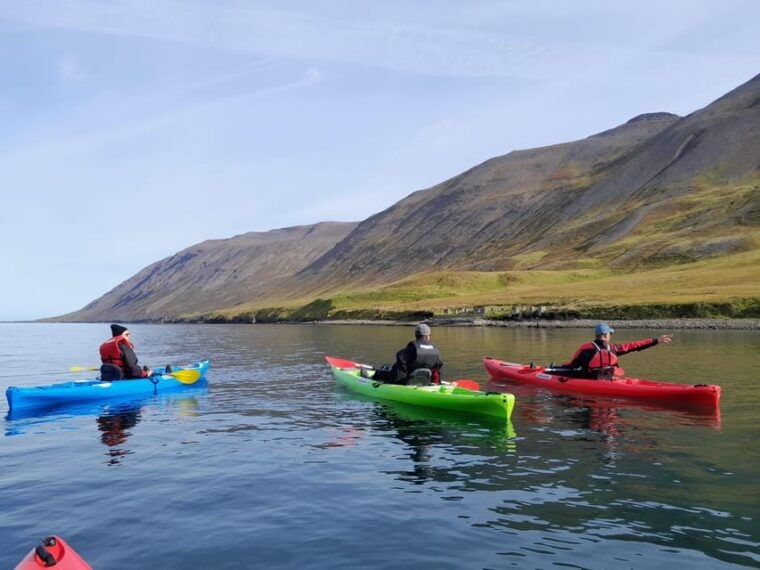 Siglufjörður / Siglufjordur: Guided kayak tour. - FAQs