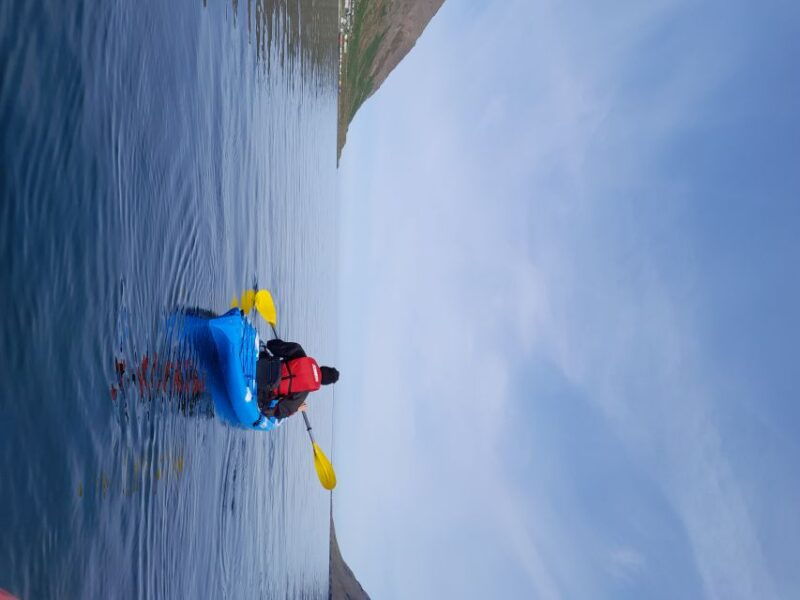 Siglufjörður / Siglufjordur: Private Guided kayak tour. - Customizing the Day: Your Tour, Your Focus