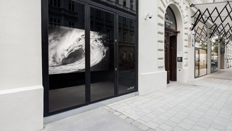 Sigmund Freud Museum Ticket - The Experience: What to Expect