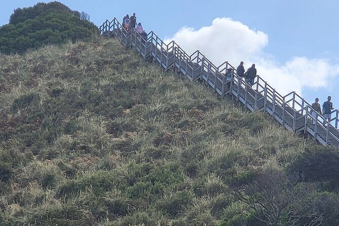 Signature Bruny Island Tour - Hobart & SE Tasmania - Why Choose the Signature Bruny Island Tour?