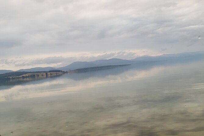 Signature Bruny Island Tour - Hobart & SE Tasmania - Practical Considerations