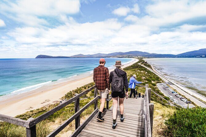 Signature Bruny Island Tour - Hobart & SE Tasmania - The Sum Up