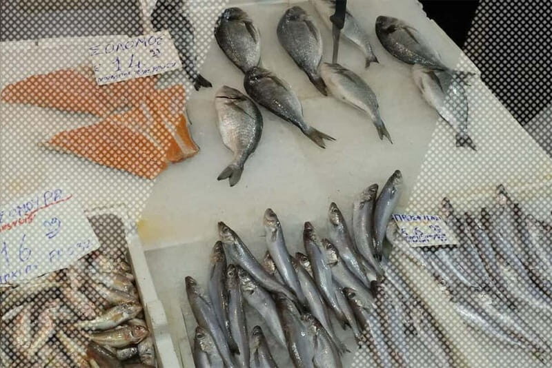 Signature Morning Walking Food Tour in Athens - Good To Know