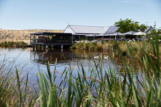 Signature Saturday Wine Tour - Why the Signature Saturday Wine Tour Works