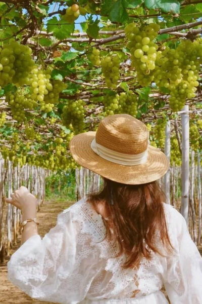 SIGNATURE TOUR: THE BEAUTY OF NINH THUAN FROM NHA TRANG - Culinary Experiences