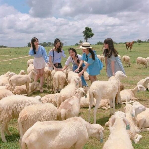 SIGNATURE TOUR: THE BEAUTY OF NINH THUAN FROM NHA TRANG - Frequently Asked Questions