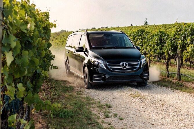 Signature Wine Tour Napier 4 Wineries Cheese and Luxury Vehicle - Good To Know