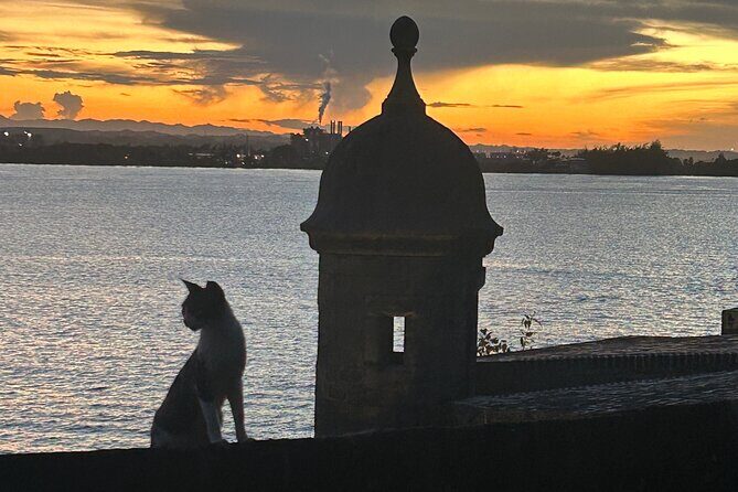 Signs and Wonders in Old San Juan History Culture and Mysteries - Starting at Paseo de la Princesa
