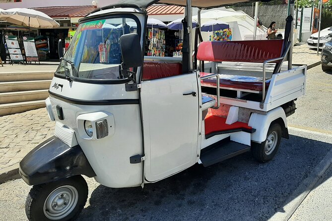 Sigtseeing in a Tuk Tuk ,Unique Experience - Minimum Traveler Requirements for Tuk Tuk Tours