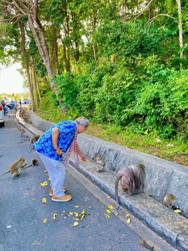 Sihanoukville Sightseeing: Shore Excursion with Lunch - Who Will Love This Tour?