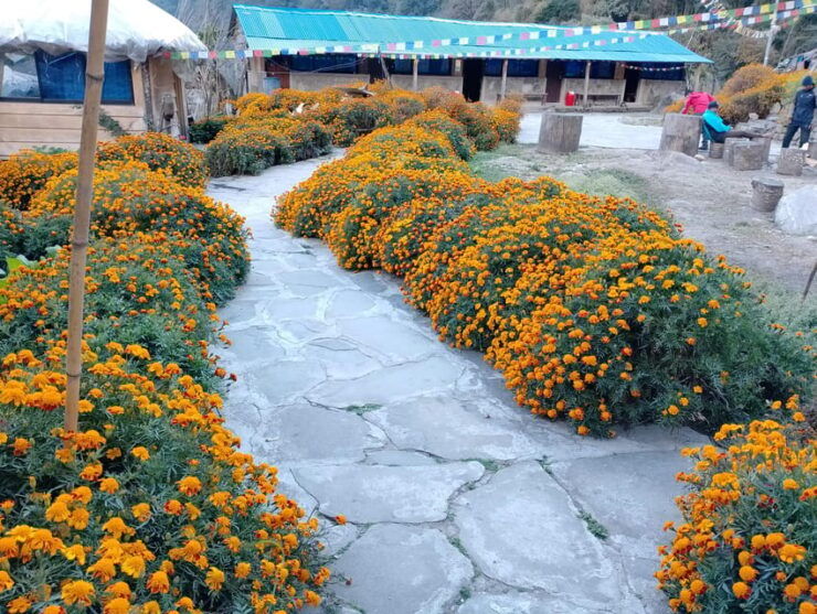 Sikles Adventure: Exploring Krapudanda & Khwolasothar Trek - Key Points