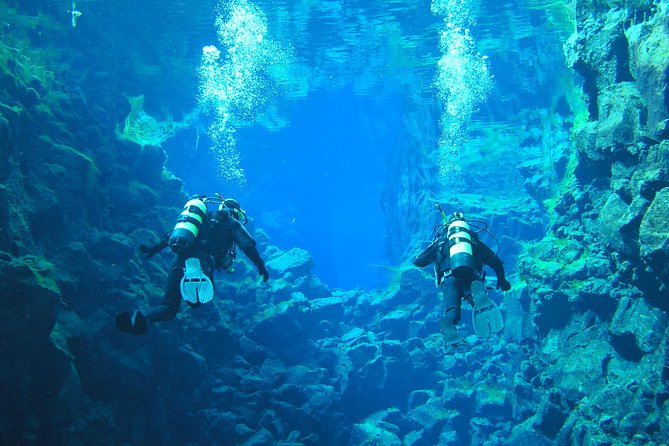 Silfra Diving Between Continents Tour From Thingvellir National Park - Overview and Experience