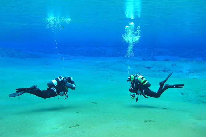 Silfra Diving Between Continents Tour From Thingvellir National Park - Whats Included