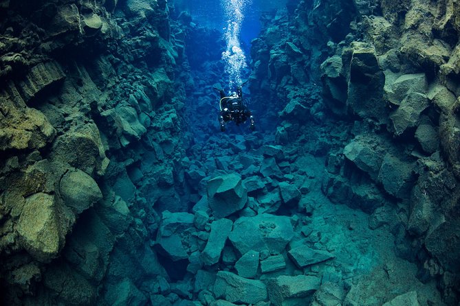 Silfra Diving Between Continents Tour From Thingvellir National Park - What to Expect