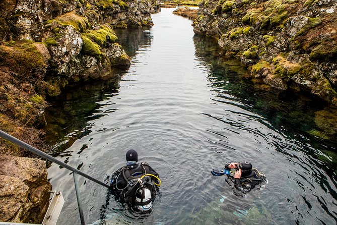 Silfra Diving Between Continents Tour From Thingvellir National Park - Common Questions
