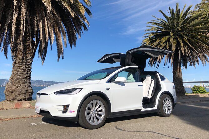 Silicon Valley Private Tour by Luxury Tesla from San Francisco - Itinerary Breakdown: What You Visit and Why It Matters