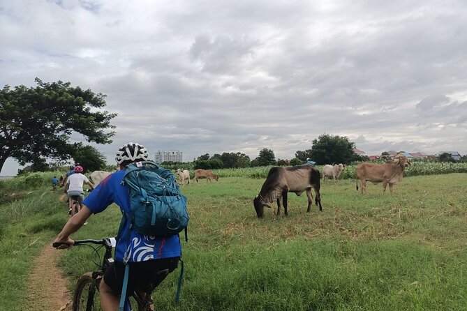Silk Island at Twilight Cycle Encounter - Good To Know
