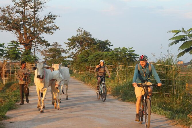 Silk Island at Twilight Cycle Encounter - The Sum Up