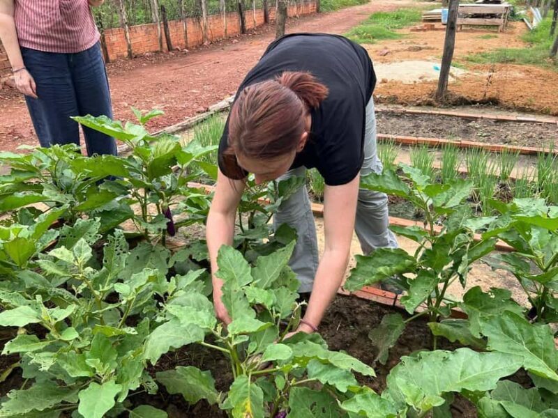 Silk Island Cooking Class & Culinary Vespa Adventure - Good To Know 