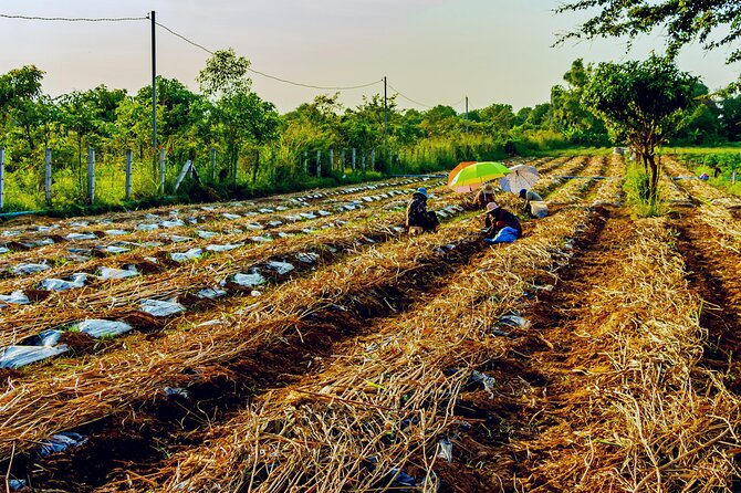 Silk Island Private Half-Day Tour From Phnom Penh - Common Questions