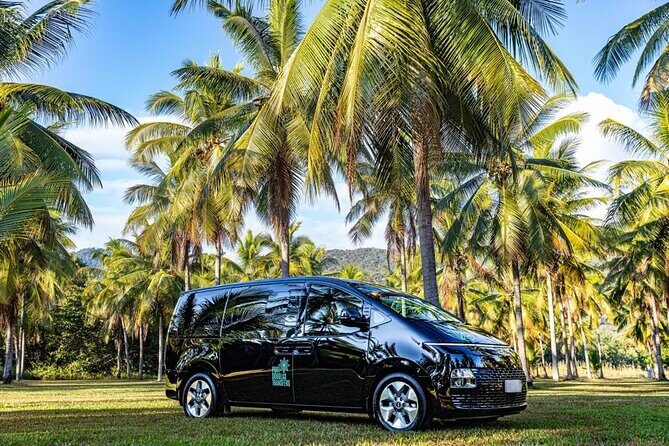 Silky Oaks to Cairns ONE WAY Private Transfer 6 pax - Good To Know