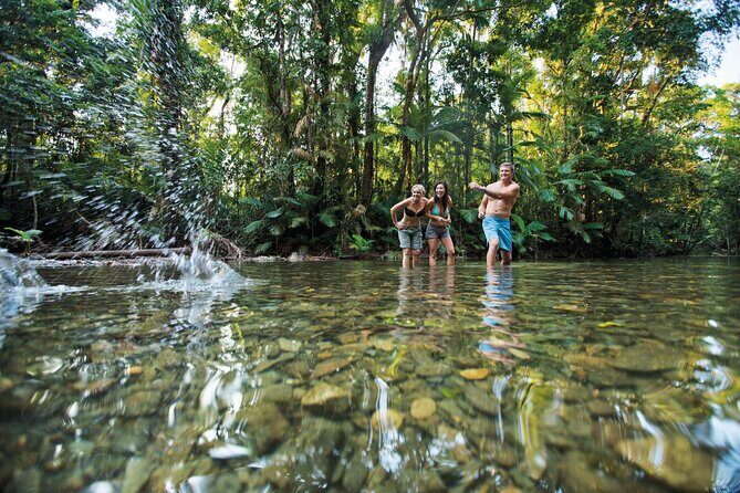 Silky Oaks to Cairns ONE WAY Private Transfer 6 pax - Final thoughts: Is this the right transfer for you?