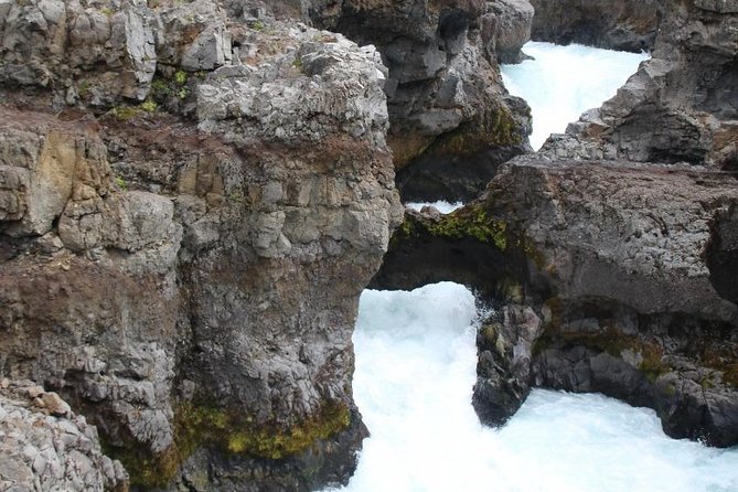 Silver Circle Tour - Reviews and Ratings