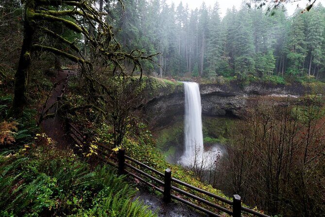 Silver Falls Private Hike Tour - Final Thoughts: Who Is This Tour Best For?