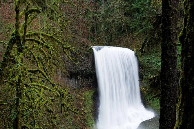 Silver Falls Private Hike Tour - Exploring the Itinerary in Depth