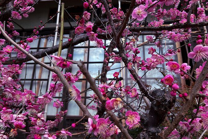 Silver Pavilion the Zen Side of Kyoto - Chion-in Temple: A Cultural and Spiritual Landmark