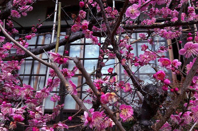 Silver Pavilion the Zen Side of Kyoto - The Sum Up