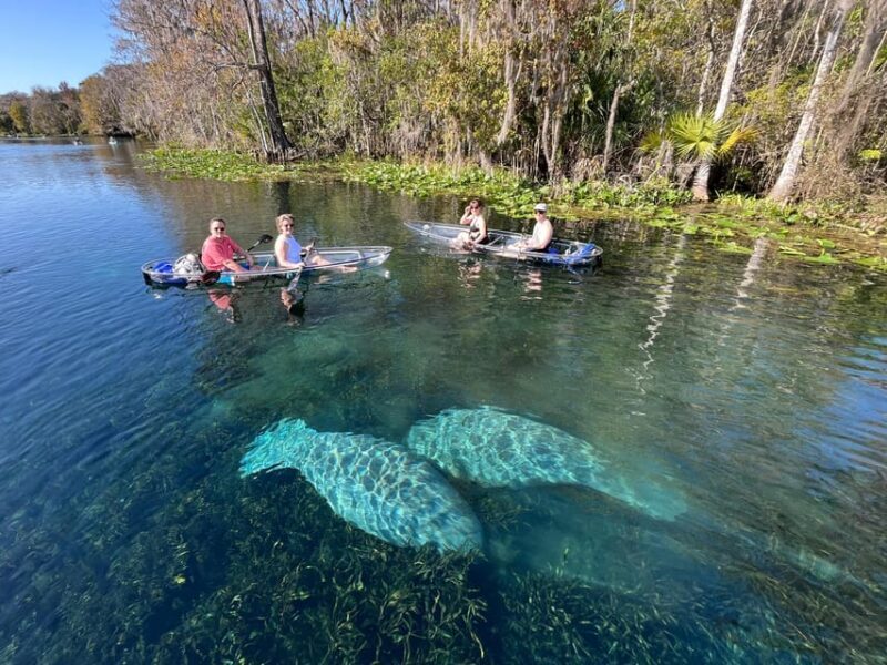 Silver Springs: Clear Kayak Manatee Season Tour - Silver Springs: Clear Kayak Manatee Season Tour – An Authentic Florida Wildlife Adventure
